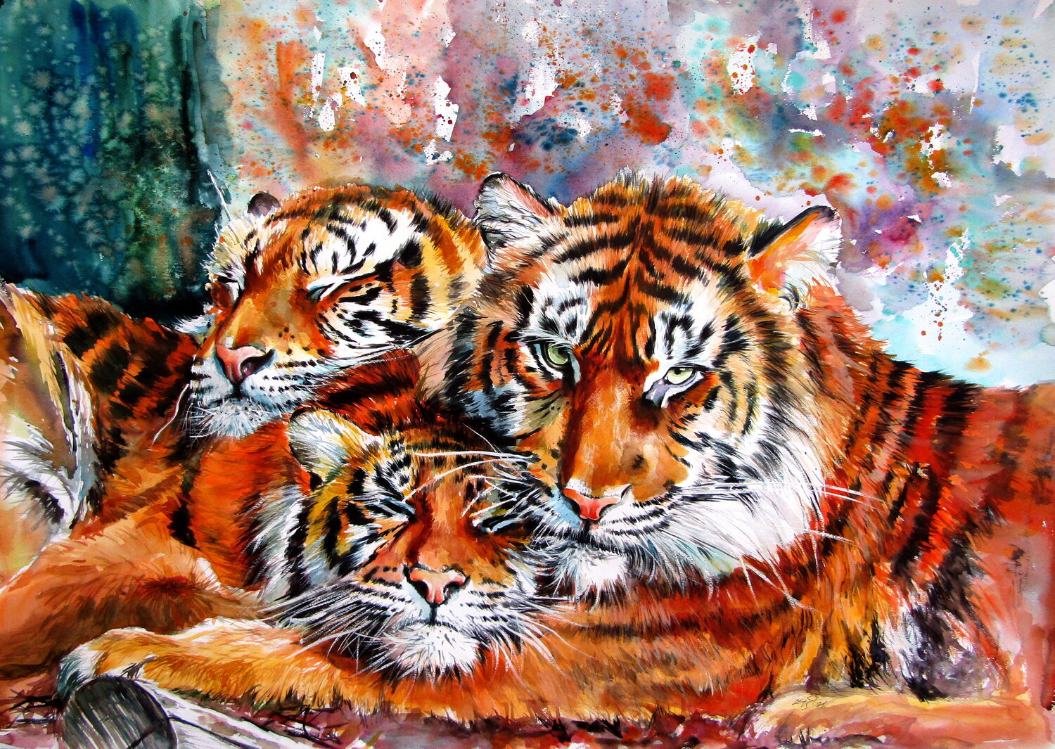 Resting tigers Anna Brigitta Kovacs