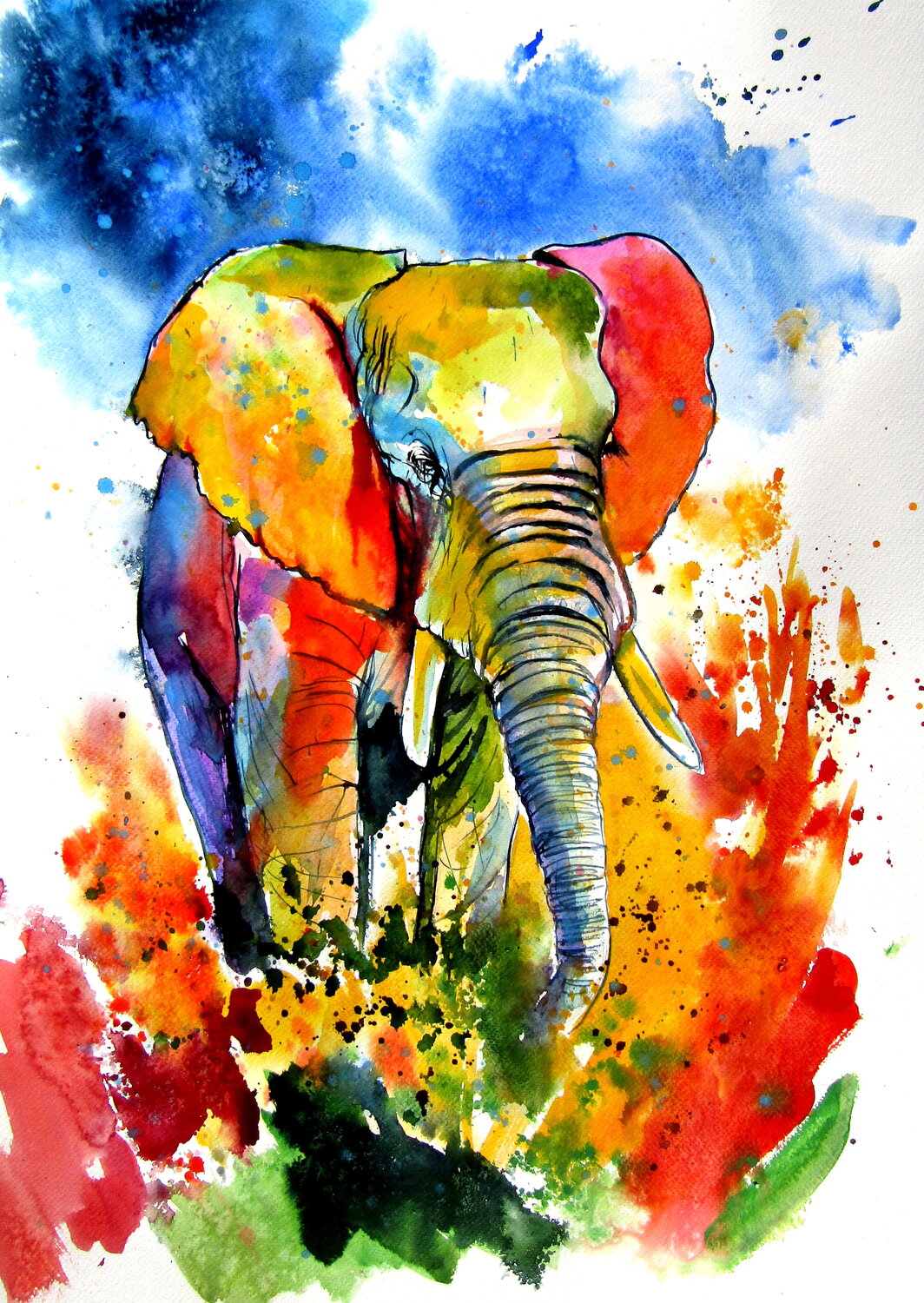 Colorful elephant on the field Anna Brigitta Kovacs