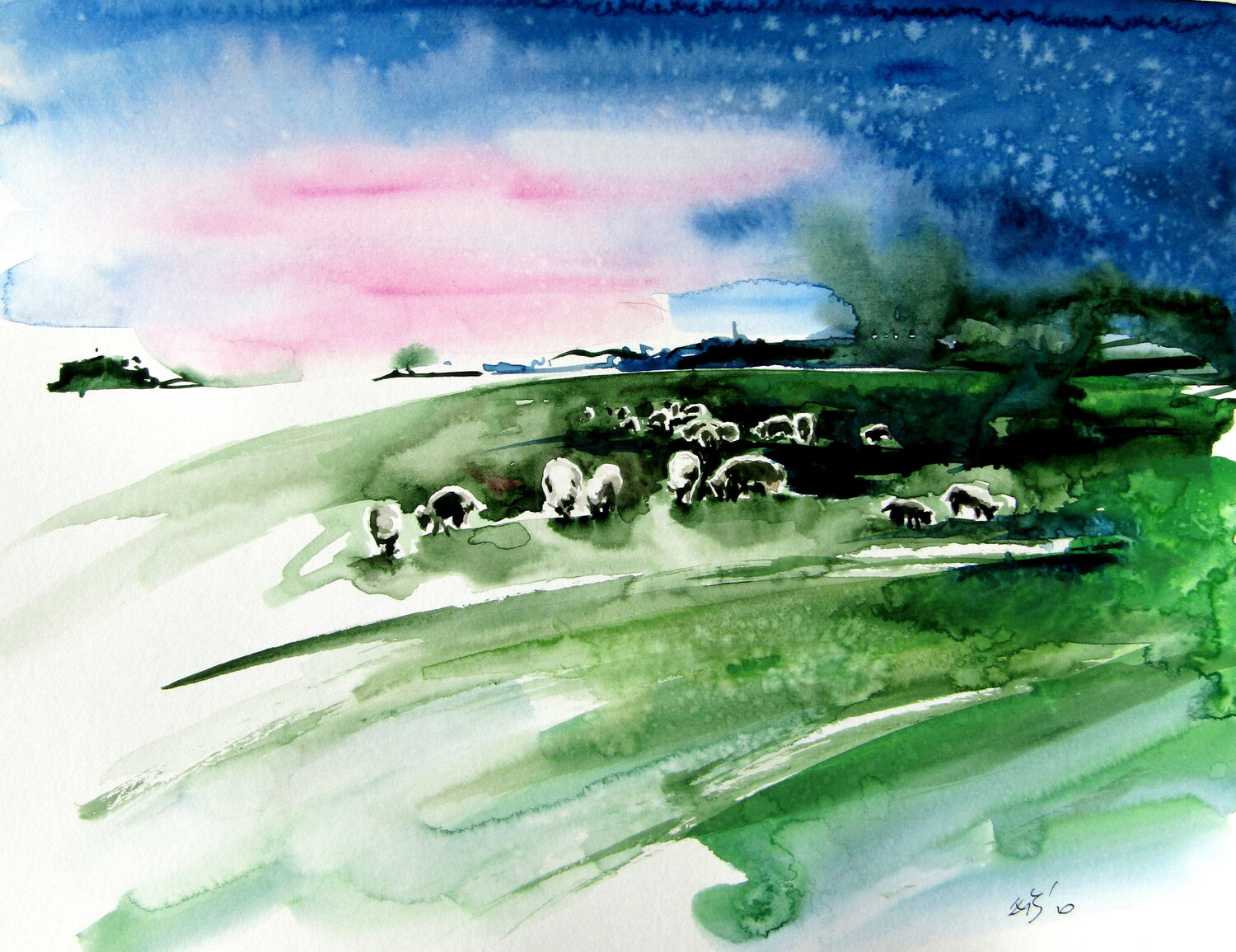 Sheep in the meadow Anna Brigitta Kovacs