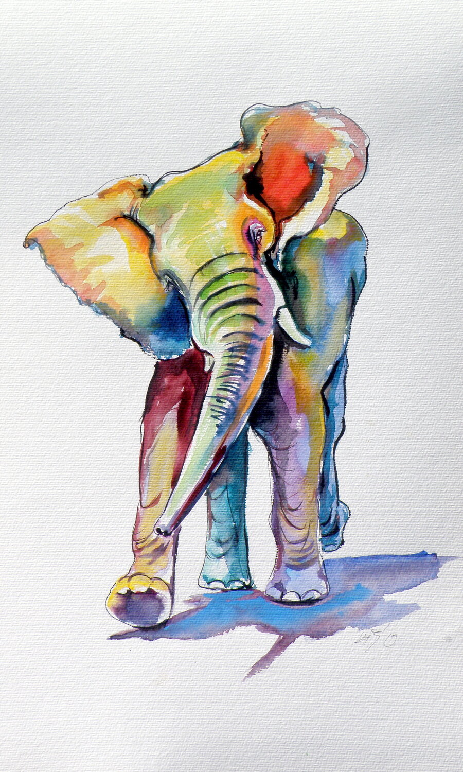 Elephant playing Anna Brigitta Kovacs