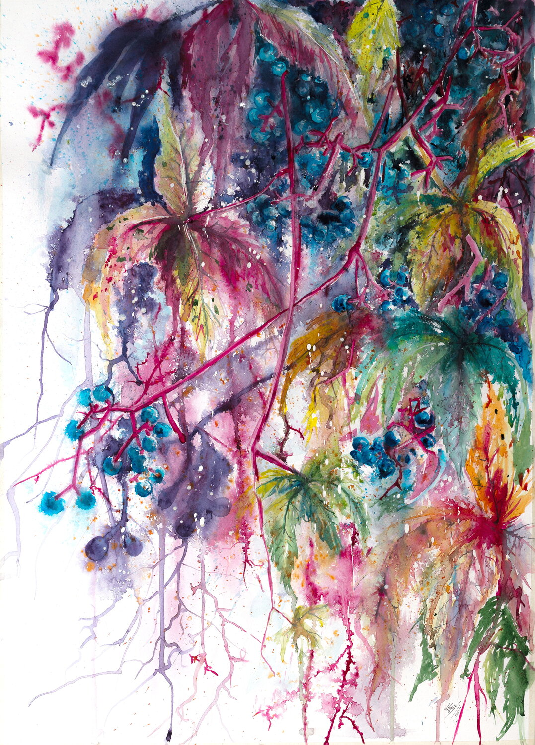 Wildgrape Anna Brigitta Kovacs