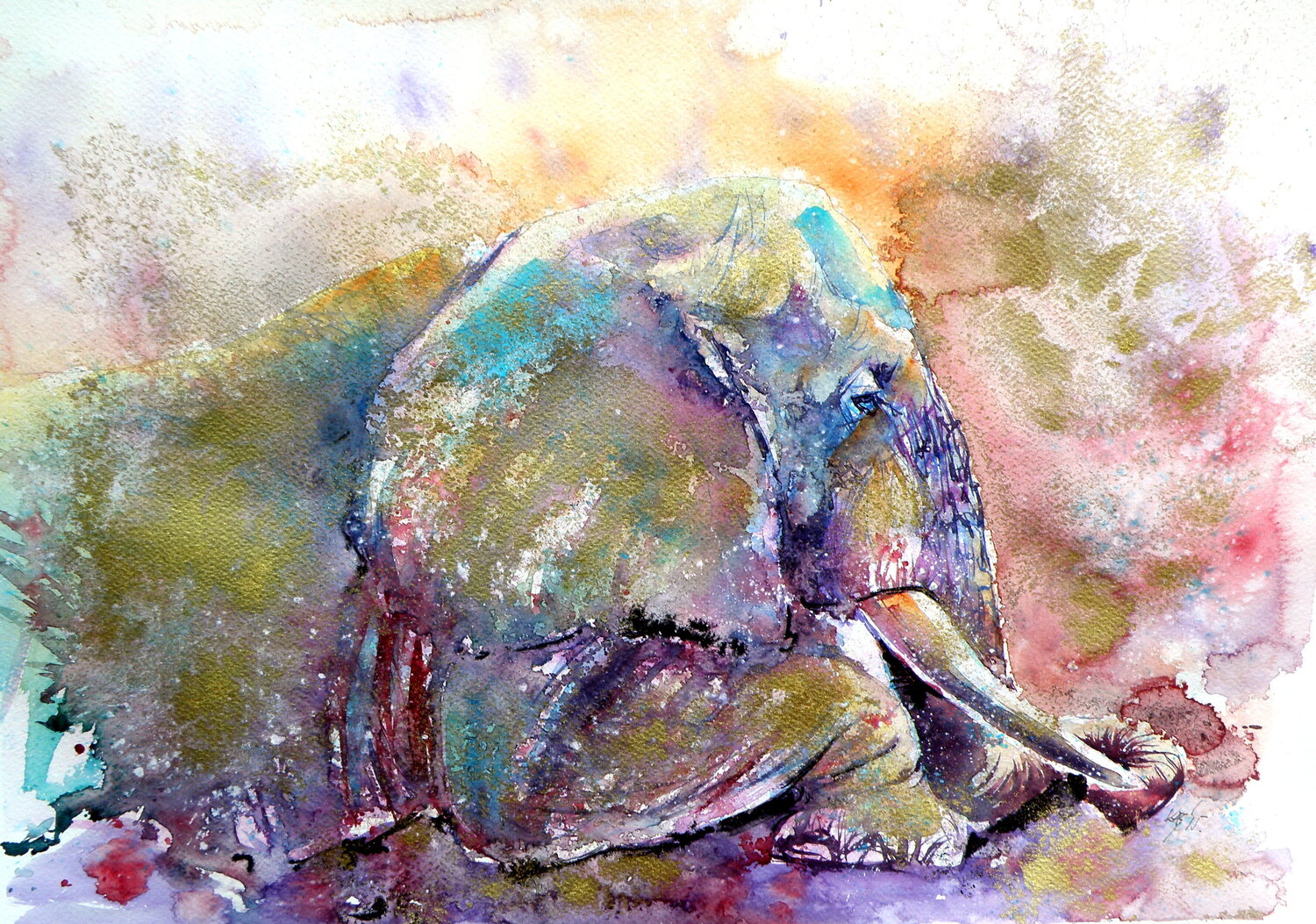 Resting elephant Anna Brigitta Kovacs
