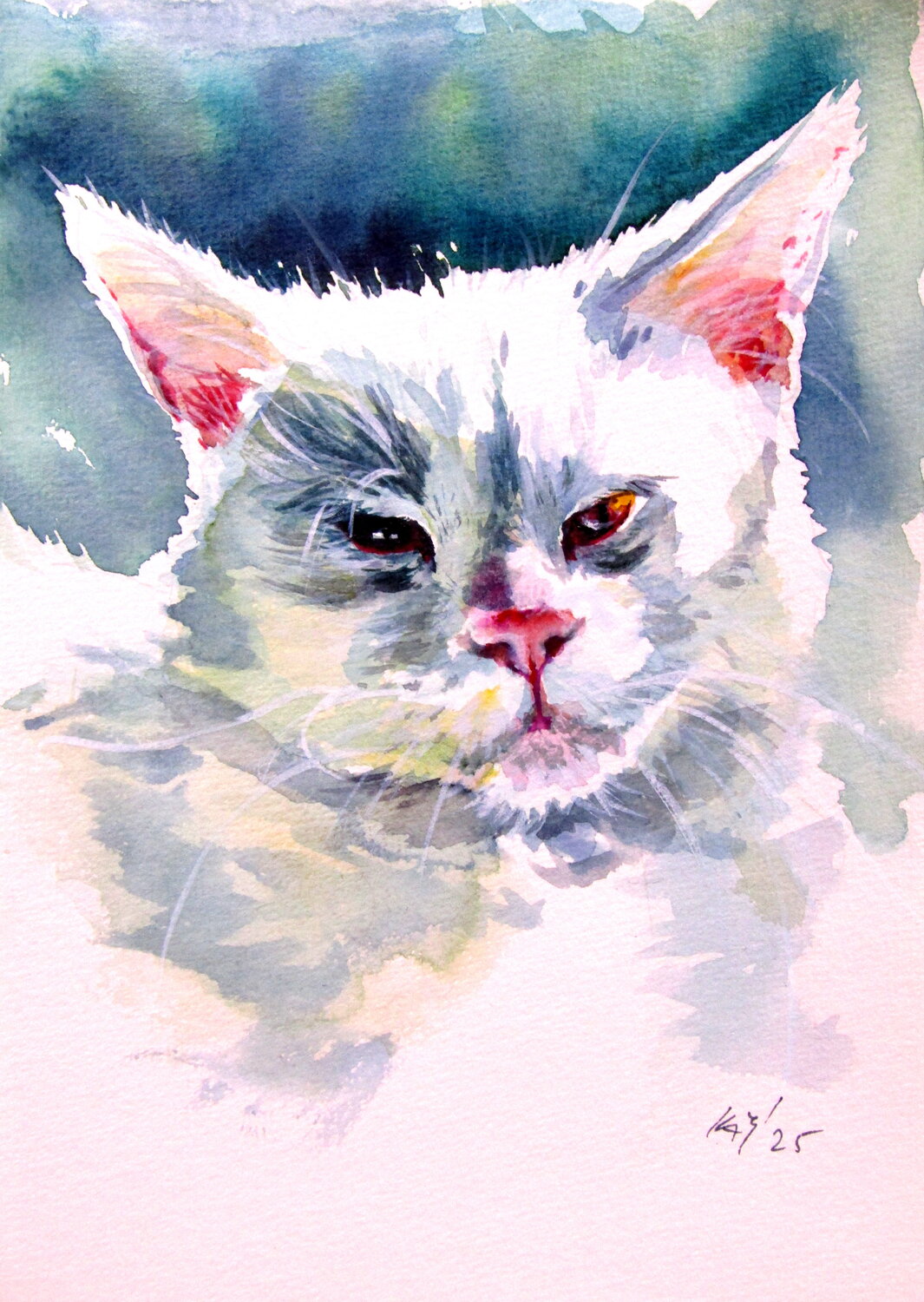 Wite cat Anna Brigitta Kovacs