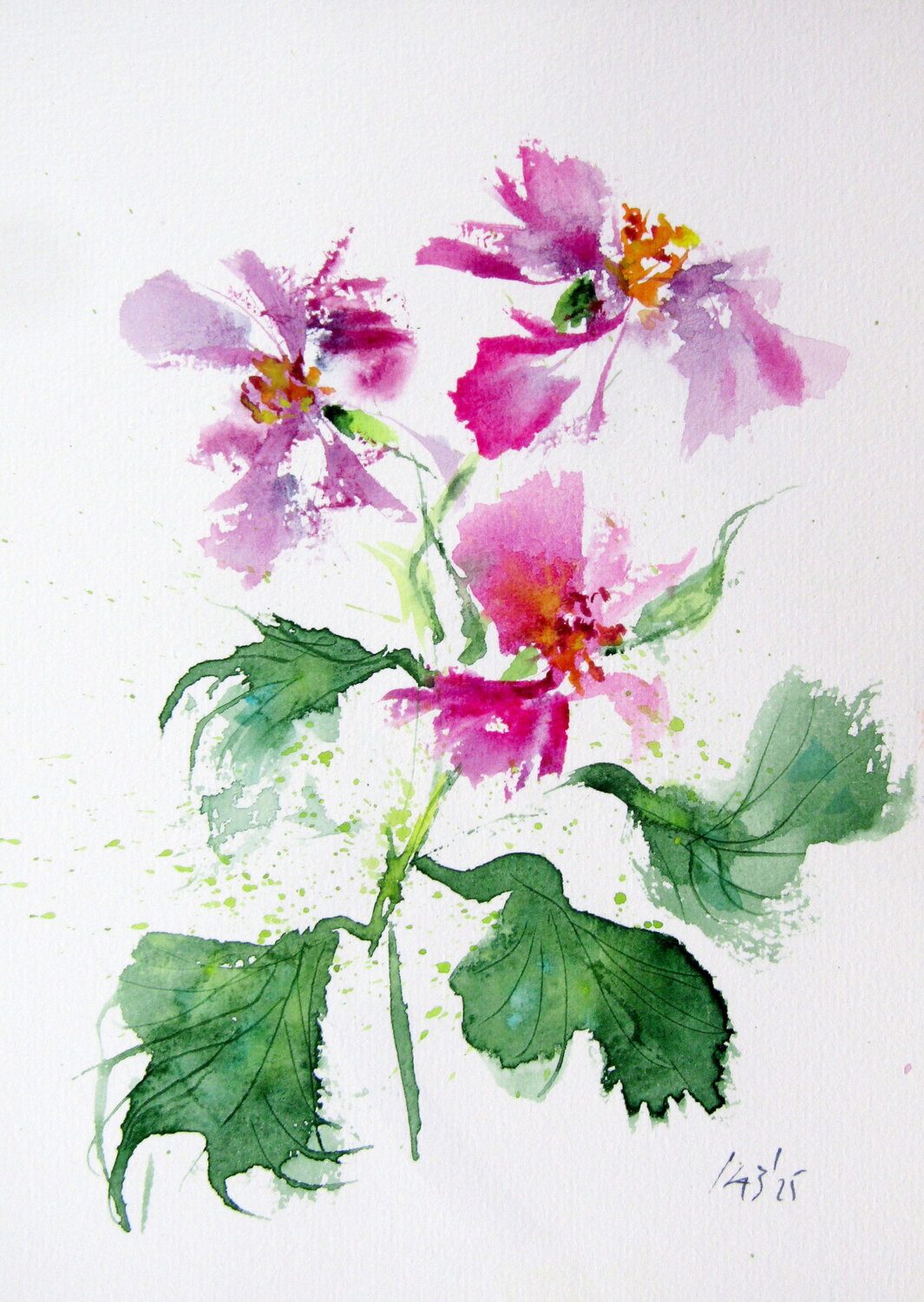 Pink florals V Anna Brigitta Kovacs