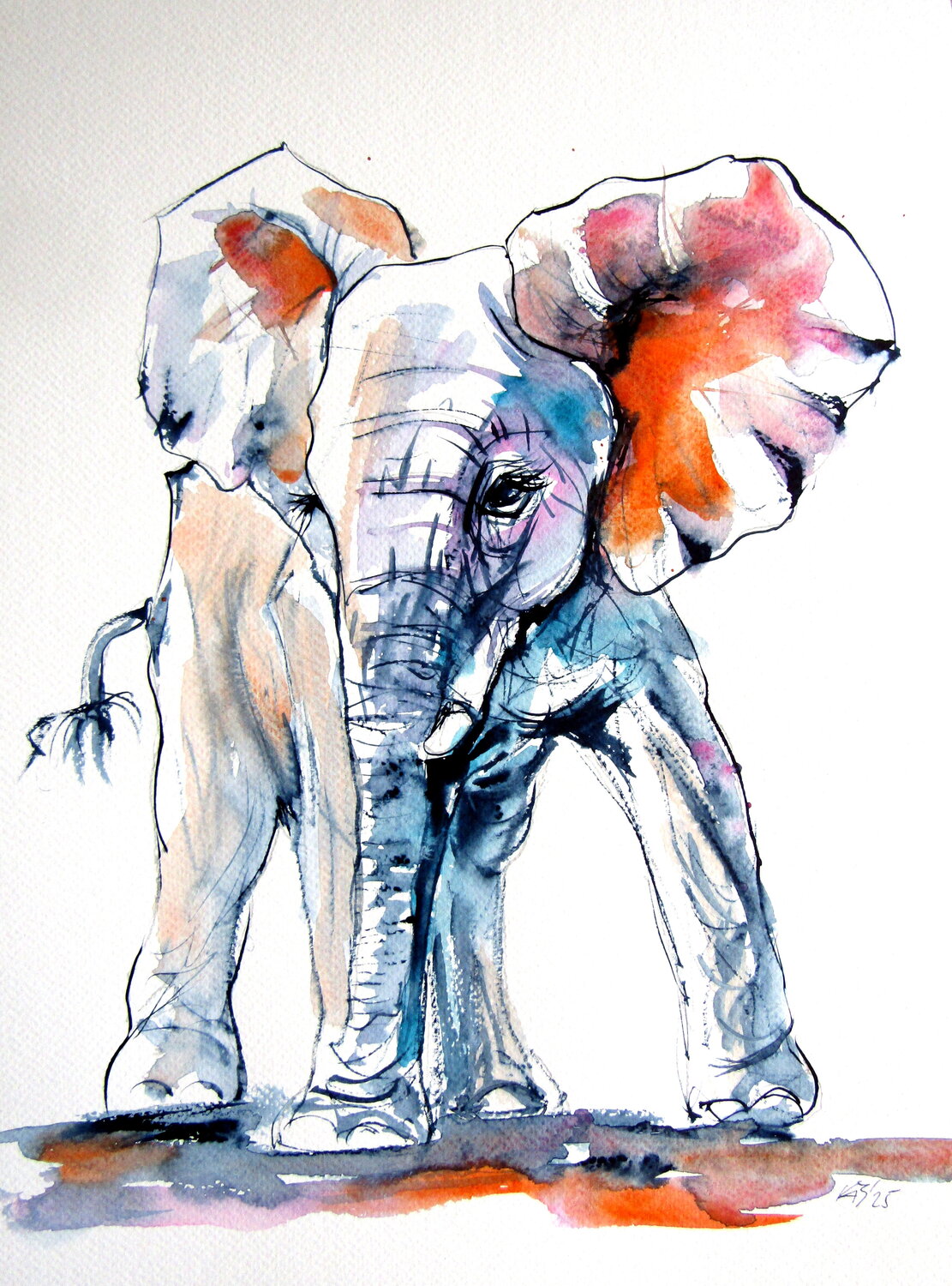 Elephant baby Anna Brigitta Kovacs