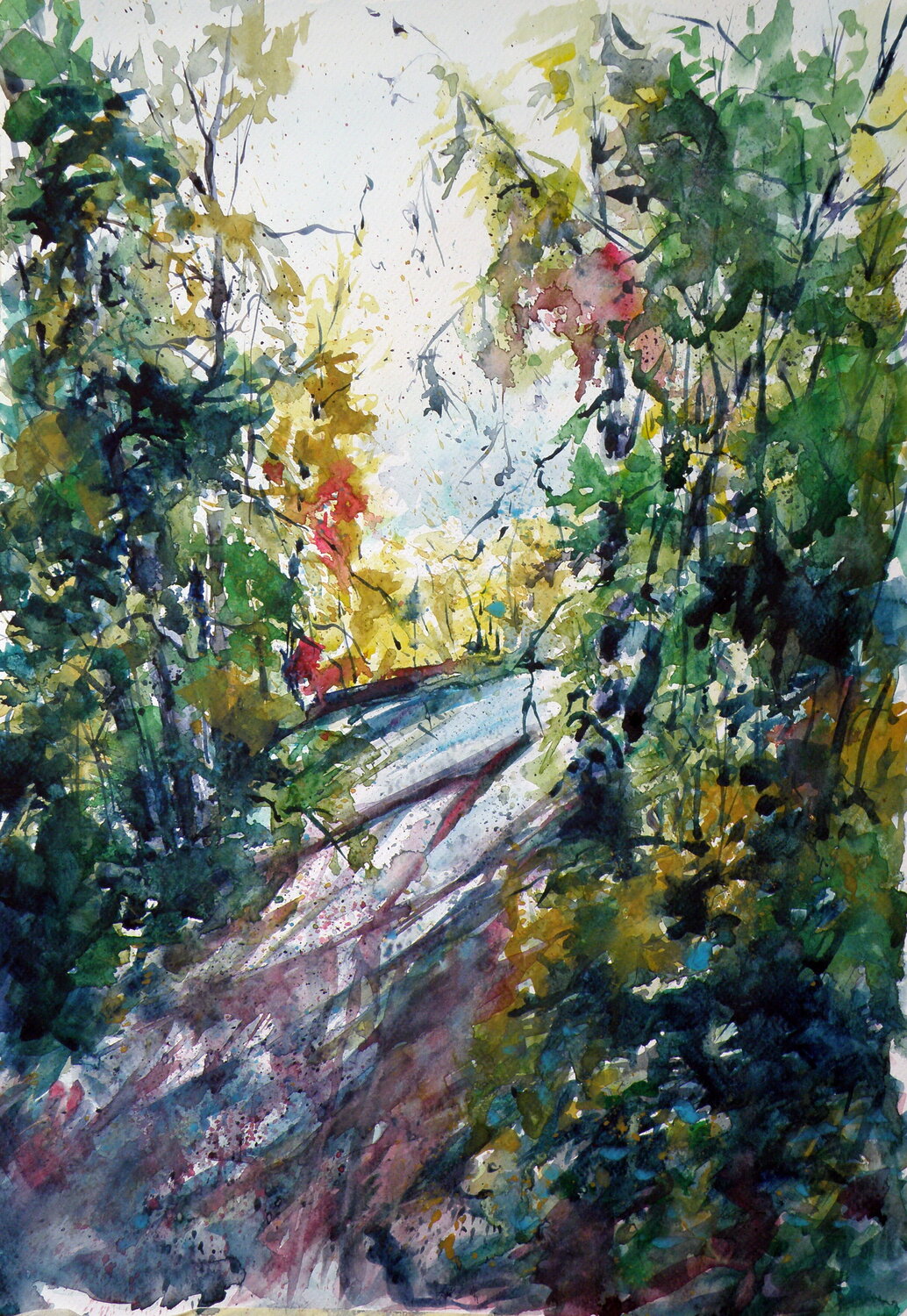 Forest Anna Brigitta Kovacs
