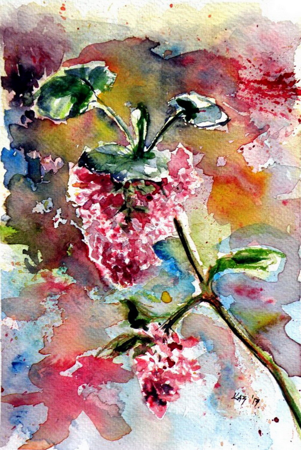 Spring flower Anna Brigitta Kovacs