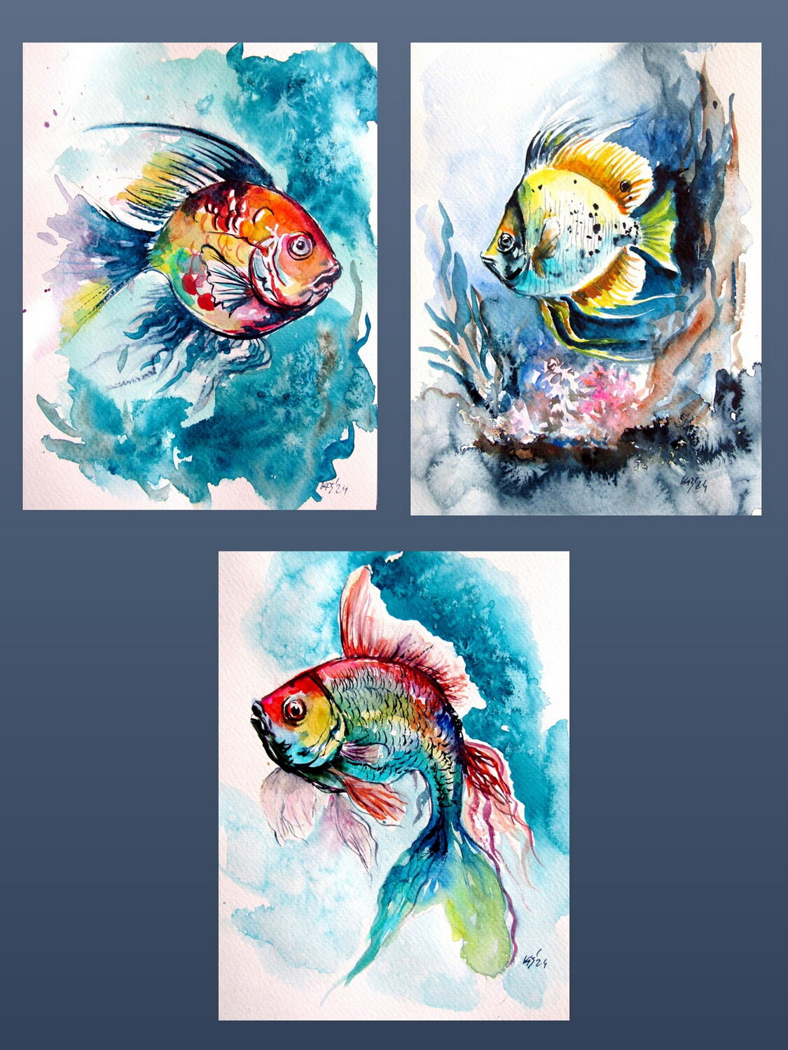 Fish collection Anna Brigitta Kovacs