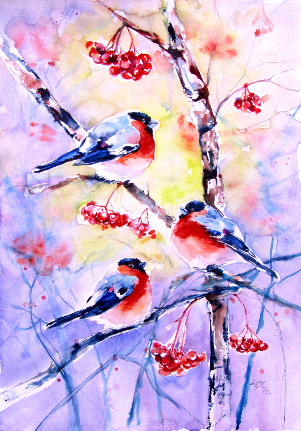 Bullfinches Anna Brigitta Kovacs