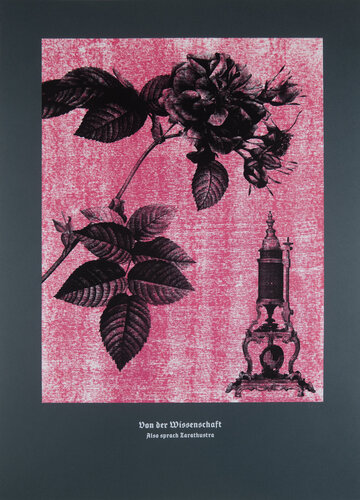 On Science, Thus Spoke Zarathustra. von Guilherme Pontes, Druck kaufen auf Singulart