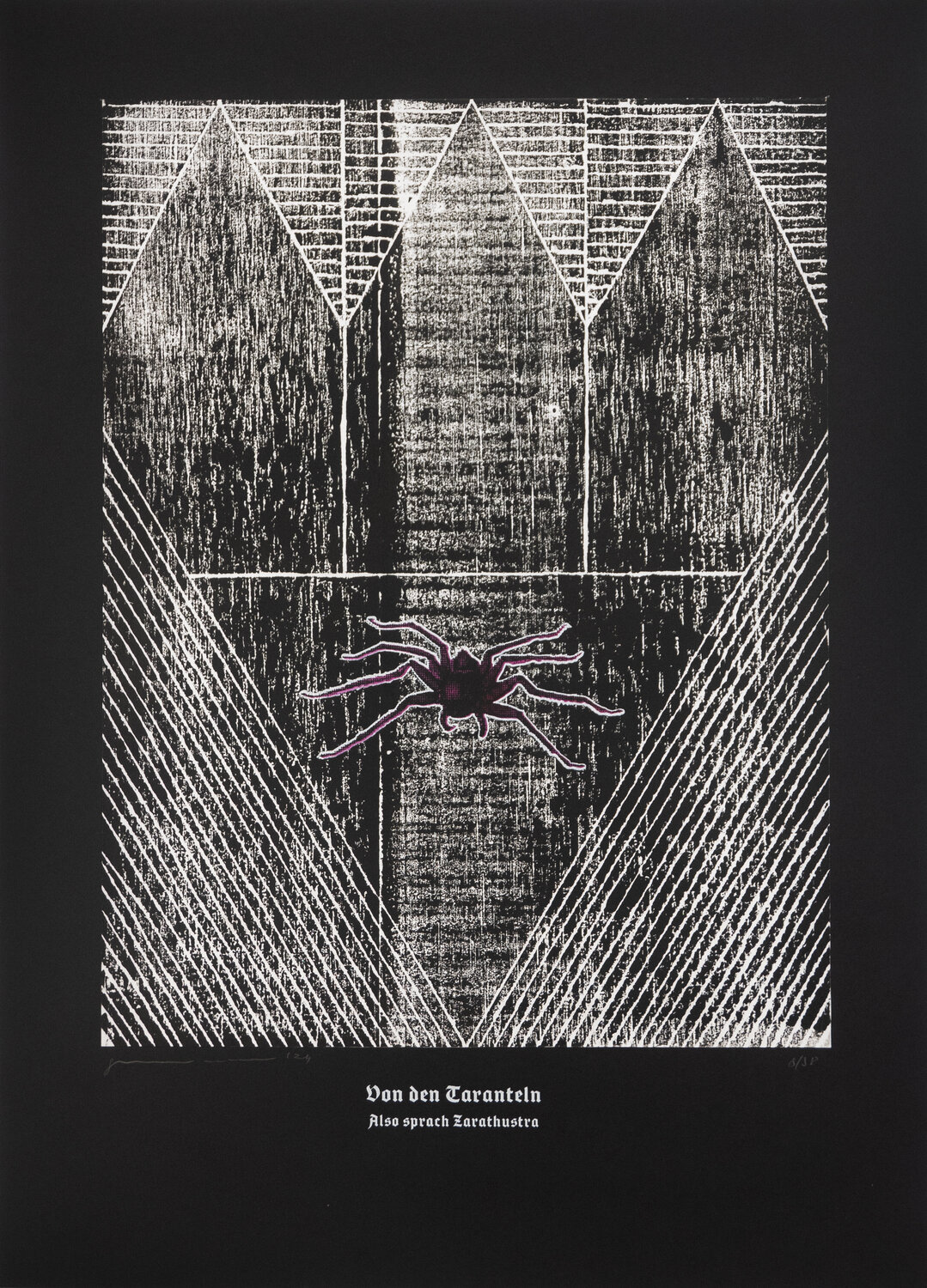 On The Tarantulas, Thus Spoke Zarathustra. Guilherme Pontes