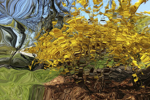 "Forsythia III" von Igors Barulins, Digital kaufen auf Singulart