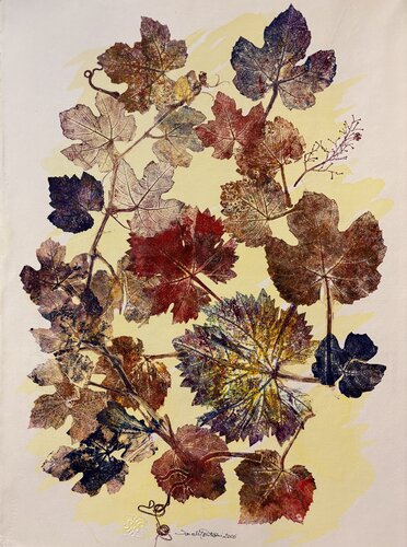 Foglia di vite by Sara Montani, Work on Paper for Sale on Singulart