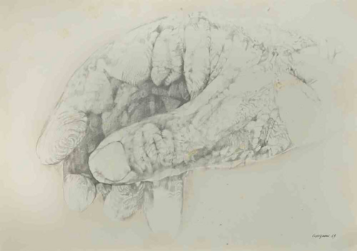 The Hand di Renzo Vespignani, Stampa in vendita su Singulart