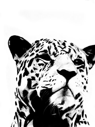 regal silence von Denny Stoekenbroek, Zeichnungen kaufen auf Singulart