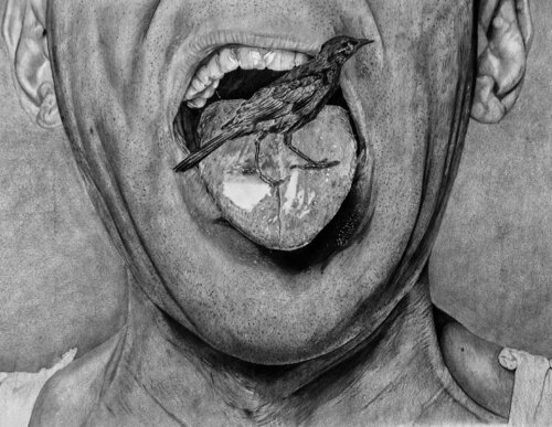 Feathered Tongue van Emmanuel Akolo, Tekening te koop op Singulart