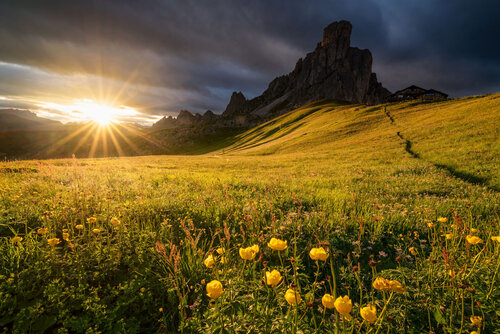 La luce dei botton d'oro van Andrea Sagui, Fotografie te koop op Singulart