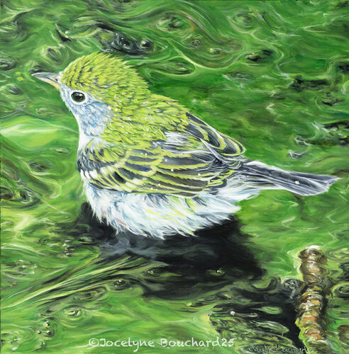 Parulime de Jocelyne Bouchard, Pintura a la venta en Singulart