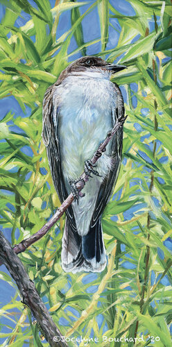 Tyran tri-tri de Jocelyne Bouchard, Pintura a la venta en Singulart