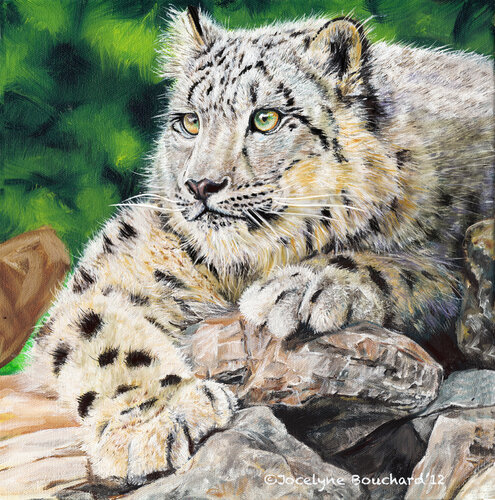 Le tigre blanc par Jocelyne Bouchard, Peinture en vente sur Singulart