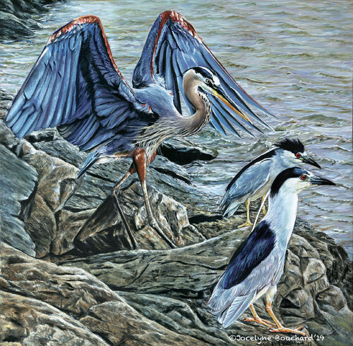 Héron et compagnie de Jocelyne Bouchard, Pintura a la venta en Singulart