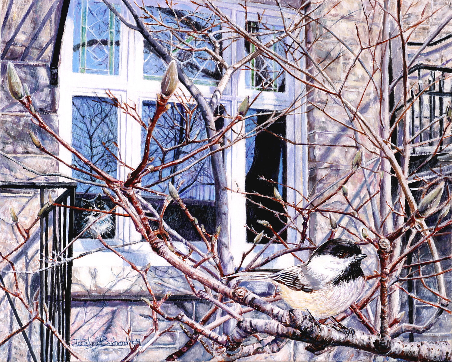 Mésange sous surveillance Jocelyne Bouchard