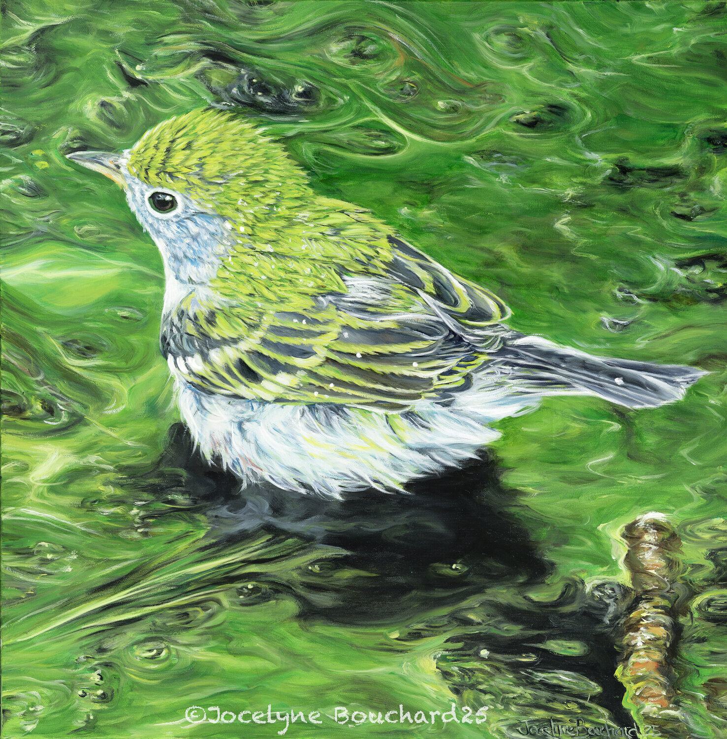 Parulime Jocelyne Bouchard