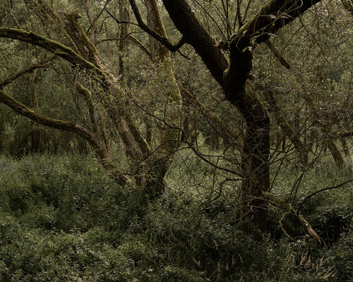 DIALOG de Jakub Delibalta, Fotografía a la venta en Singulart
