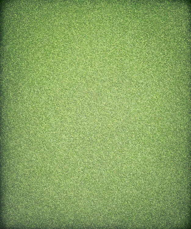 "Field of Green" Heidi Thompson