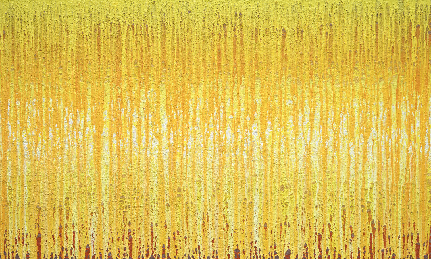 Veils of Sunshine Heidi Thompson