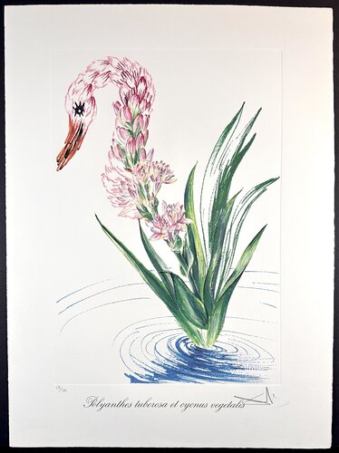 Florals Water-Hybiscus Swan par Salvador Dalí, Édition en vente sur Singulart