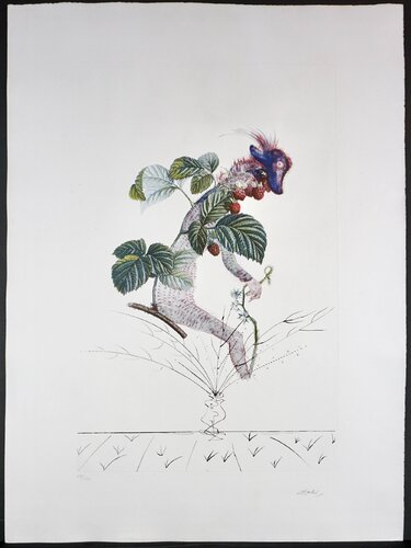 FlorDali/Les Fruits Raspberry par Salvador Dalí, Édition en vente sur Singulart