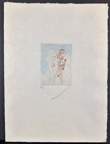 Petite Nus (From Apollinaire) J par Salvador Dalí, Édition en vente sur Singulart