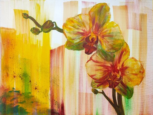 Yellow Ochidee van Driss Dahhan, Schilderij te koop op Singulart