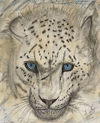 Snow Leo van Giovanni De Luca, Schilderij te koop op Singulart