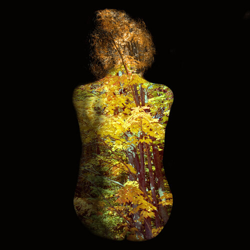 Autumn 3 von Martin Fahlen, Fotografie kaufen auf Singulart