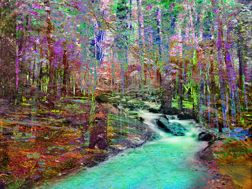 Fontainebleau von Martin Fahlen, Fotografie kaufen auf Singulart