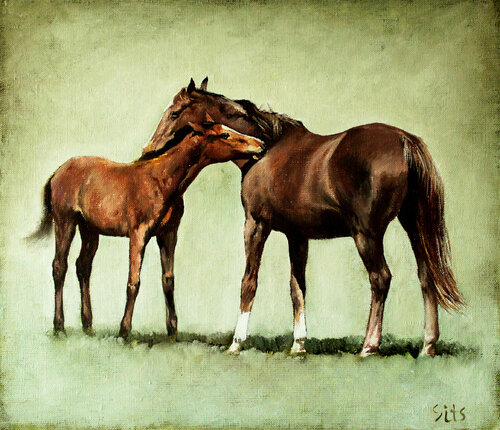 Country life van Andrei Sitsko, Schilderij te koop op Singulart