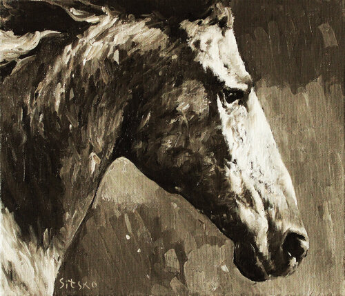 Black and White II. Horse series van Andrei Sitsko, Schilderij te koop op Singulart