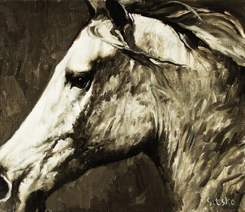 Black and White II. Horse series van Andrei Sitsko, Schilderij te koop op Singulart