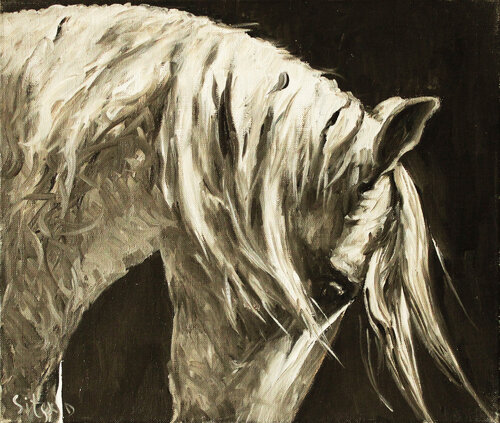 Black and White IV. Horse series van Andrei Sitsko, Schilderij te koop op Singulart