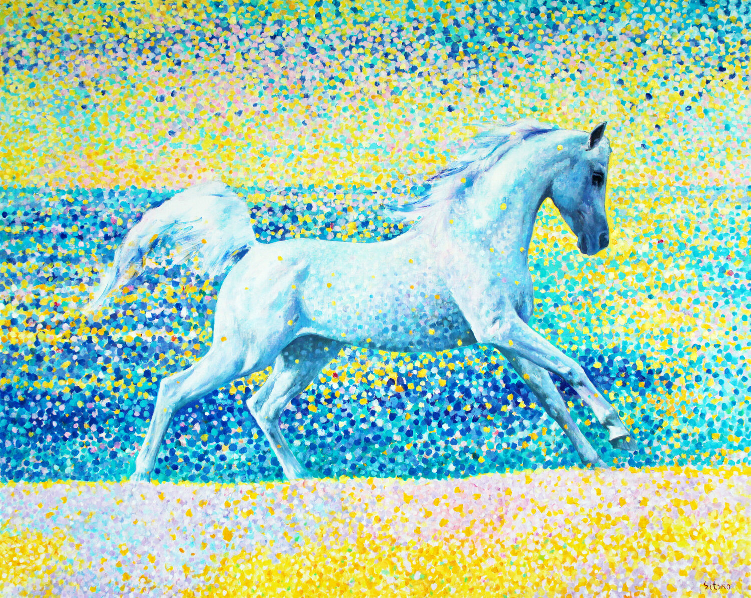 Sun splashes. Golden sand. Horse series Andrei Sitsko