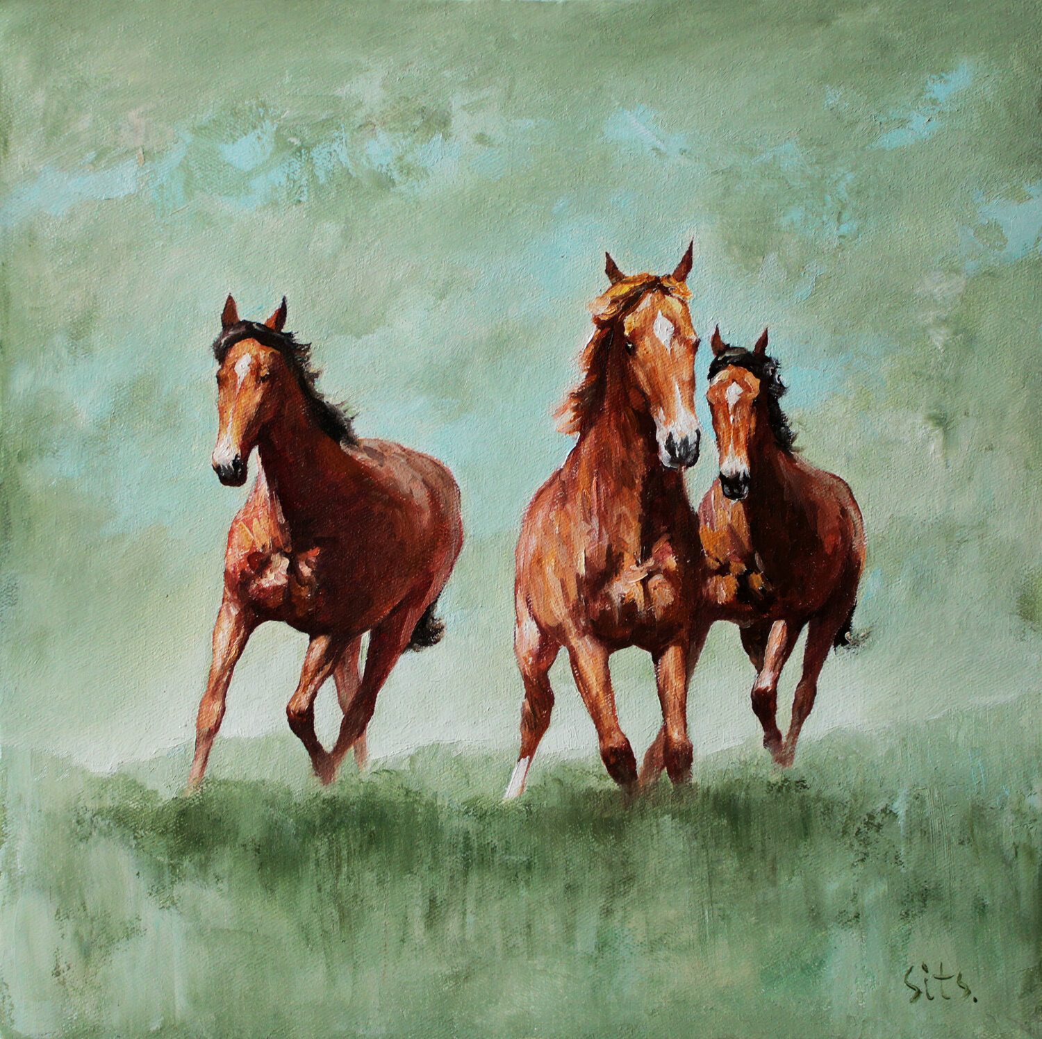 Fresh wind. Horse series Andrei Sitsko