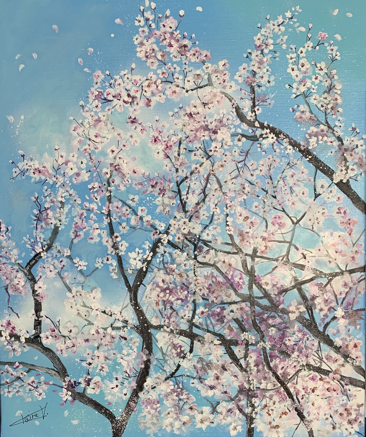 L’amandier du jardin Claire Morand