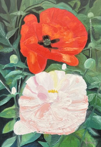 Poppy and peony von Nicola Quici, Malerei kaufen auf Singulart