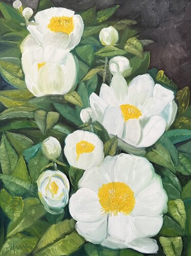 Peony von Nicola Quici, Malerei kaufen auf Singulart