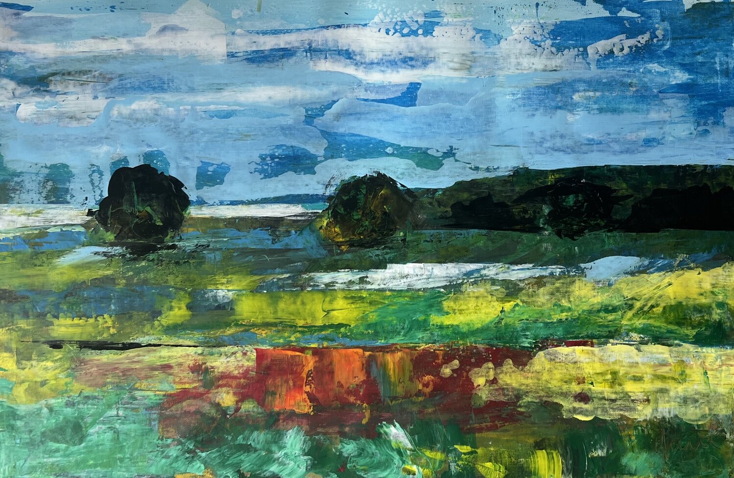Landscape Nicola Quici