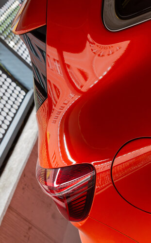 A red ox -  Ein roter Ochse di Thorsten Otto Bartelt, Fotografia in vendita su Singulart