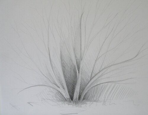 Arbre by Artiste H. E., Drawing for Sale on Singulart