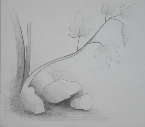 Feuillage d'un petit arbre by Artiste H. E., Work on Paper for Sale on Singulart